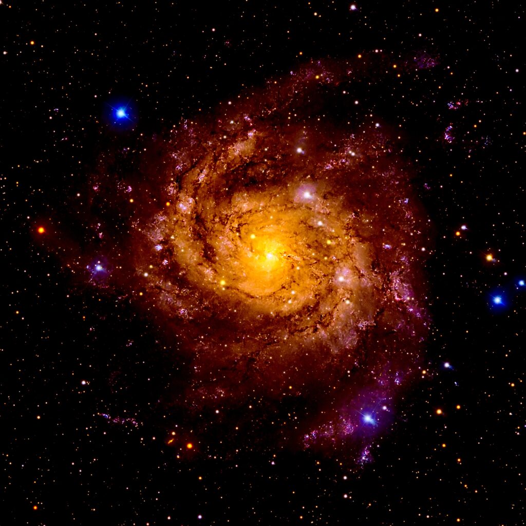 hidden galaxy (ic342)